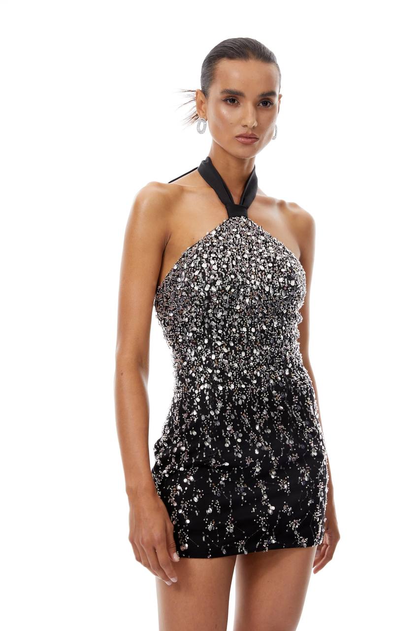 Jessica crystal dress
