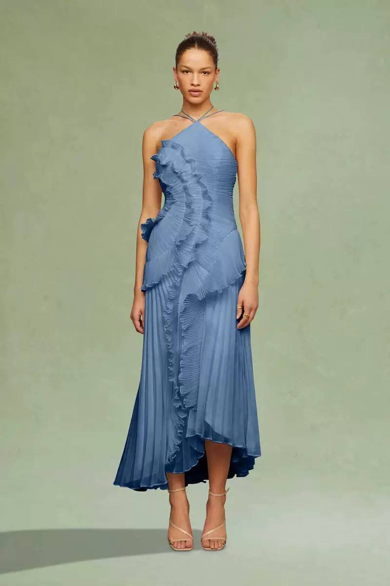 Ruffled Trim Pleated Dress
