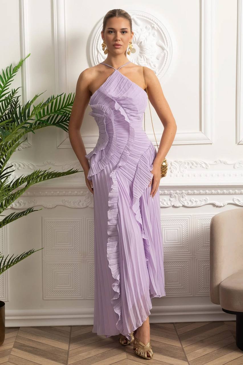 Ruffled Trim Pleated Dress