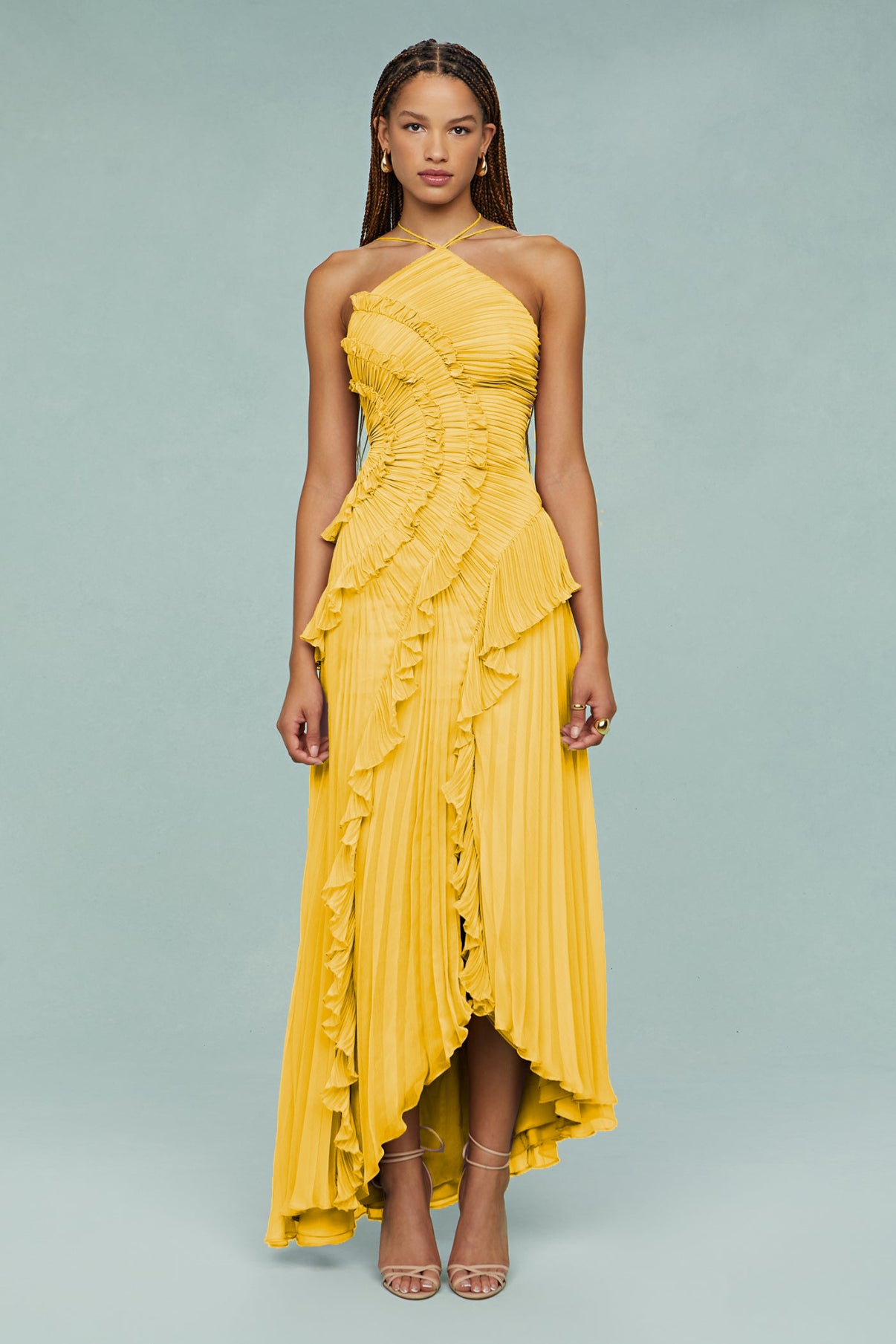 Ruffled Trim Pleated Dress