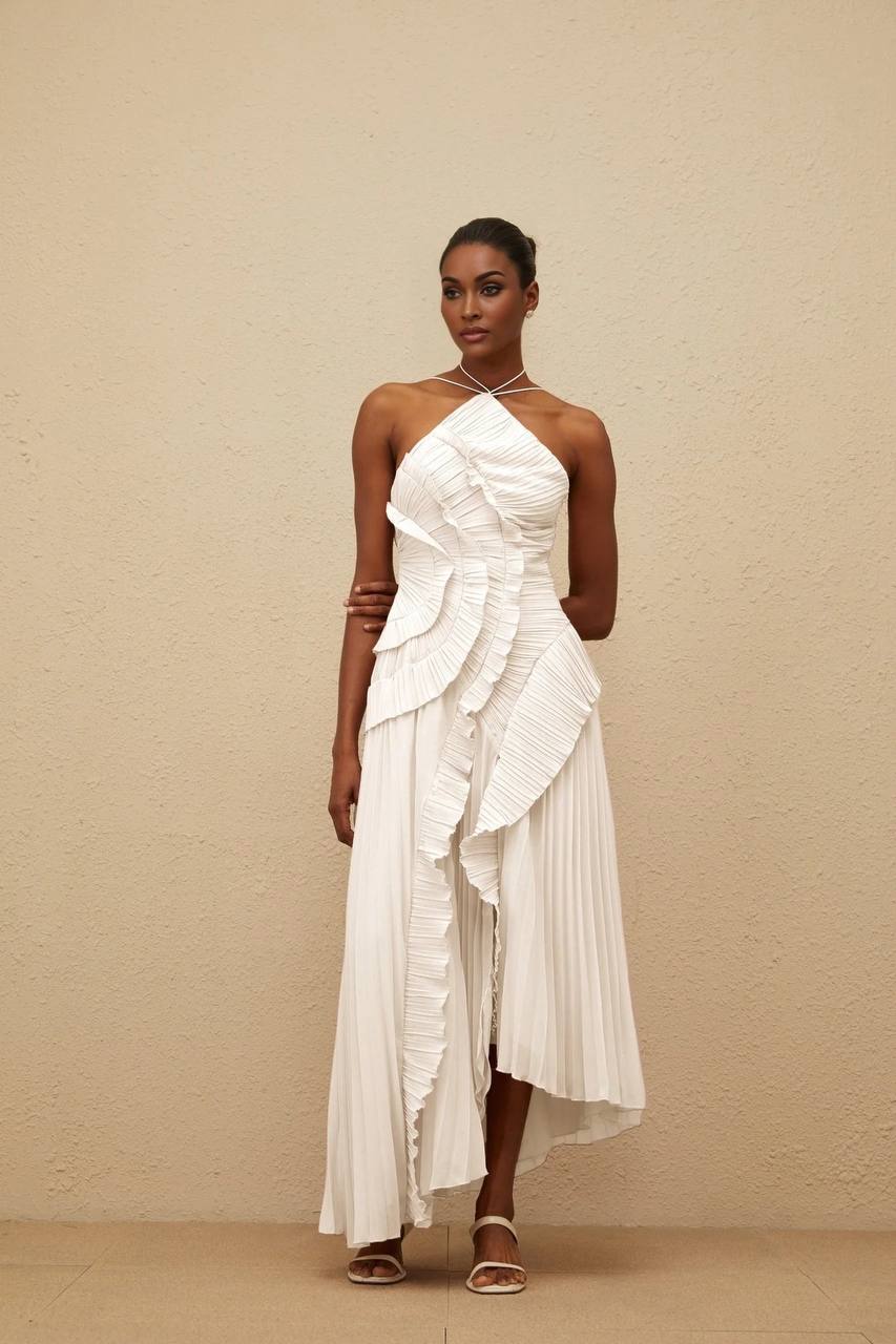 Ruffled Trim Pleated Dress