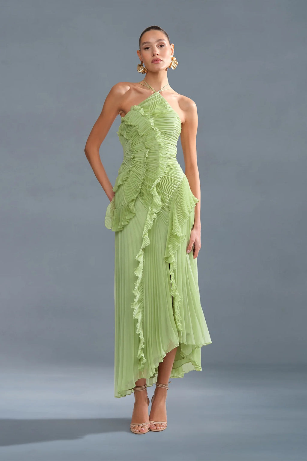 Ruffled Trim Pleated Dress
